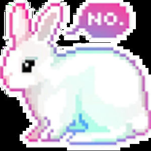 Meet your Posher, Allie